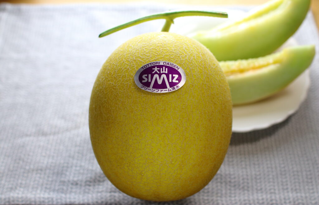 大山シミズメロン誕生。 | グリーンファーム清水